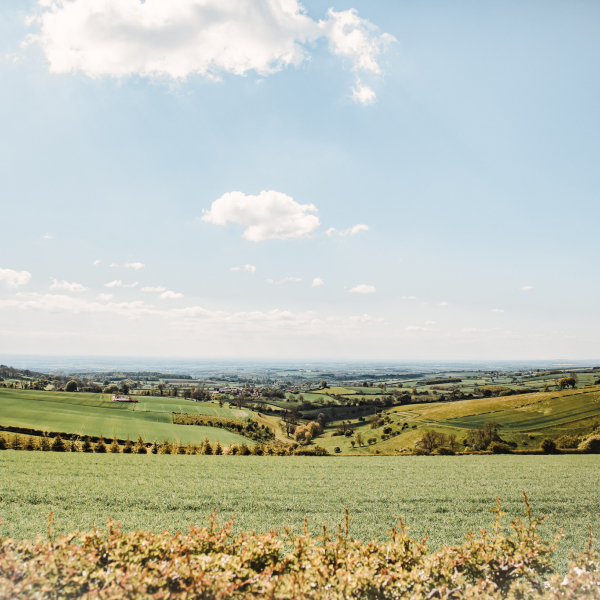 Garrowby countryside landscape